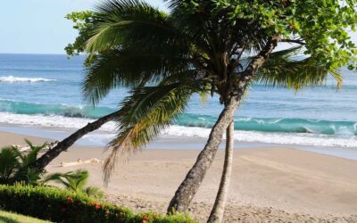 Why More Canadians Are Choosing to Live in Costa Rica